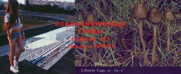 прущие крисы Михайловск