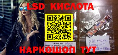 прущие крисы Бийск