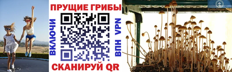 Псилоцибиновые грибы мухоморы  цена   hydra ссылка  Ижевск 