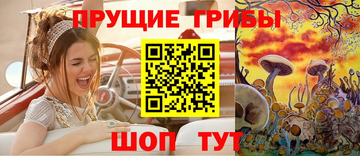 Псилоцибиновые грибы мицелий Ижевск