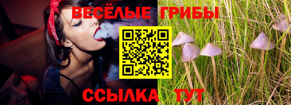 Галлюциногенные грибы мухоморы  Вход с VPN  Ижевск 