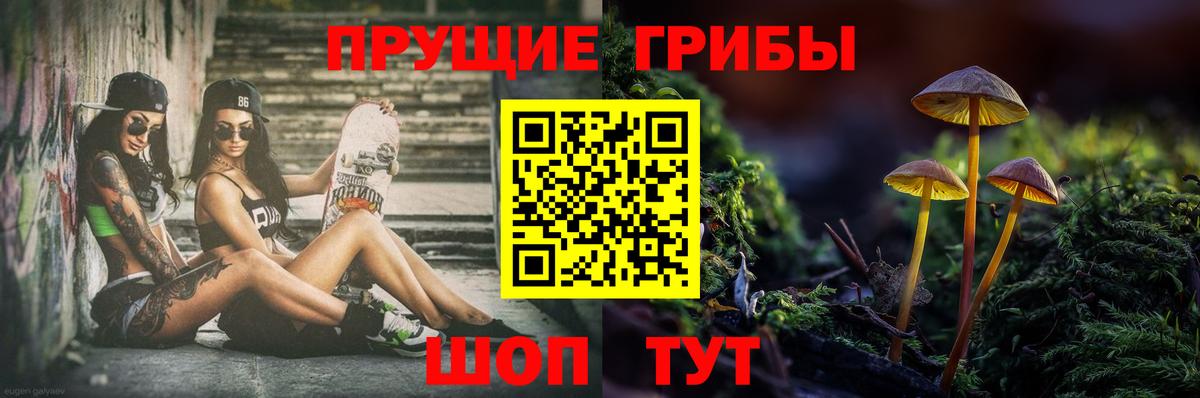 Псилоцибиновые грибы Cubensis  Галлюциногенные грибы мухоморы  Ижевск 