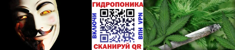 hydra как войти Ижевск Бошки Шишки семена цена