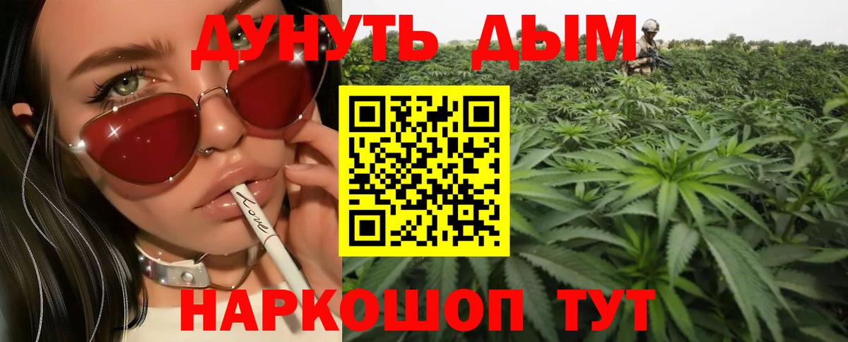 Каннабис OG Kush  Конопля OG Kush  Ижевск  Канабис SATIVA & INDICA 
