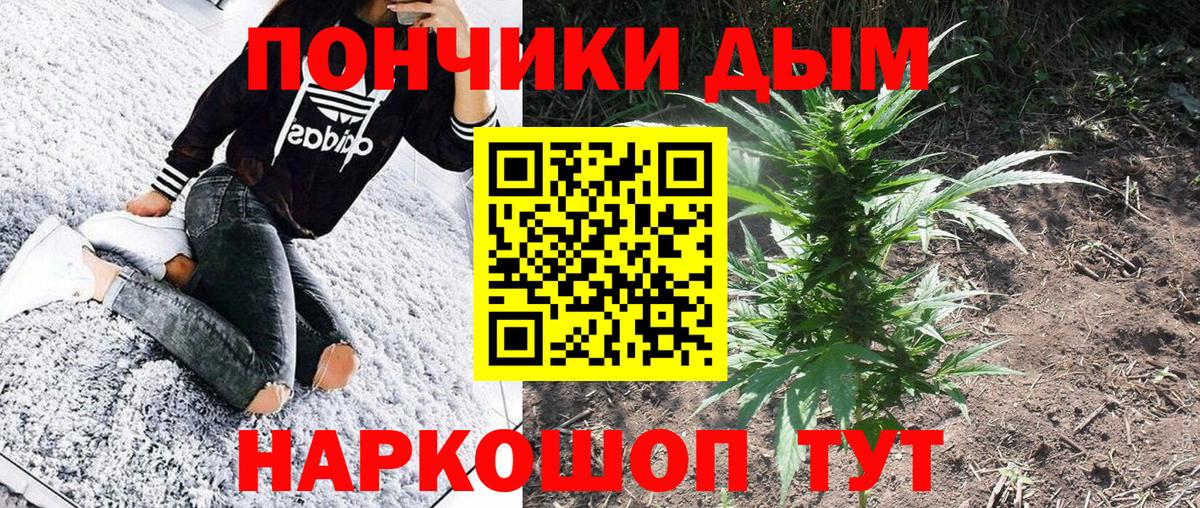 Ижевск  Канабис семена  Бошки марихуана сатива  Вход с VPN 